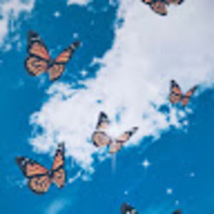 Meet your Posher, Theresa